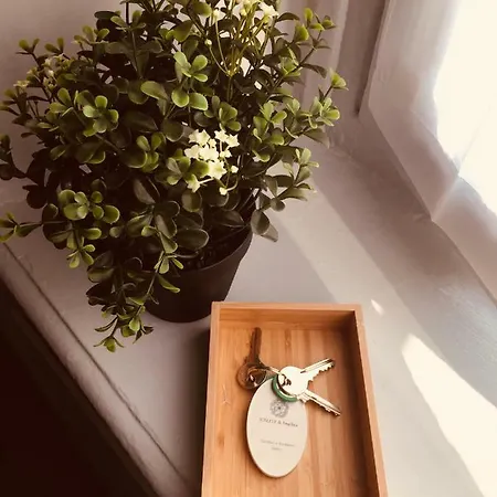 Casa Ettolina Al Campus Einaudi Appartement